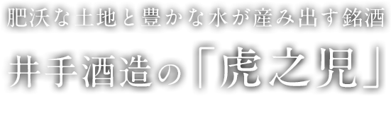 肥沃な土地と豊かな水が産み出す銘酒井手酒造の「虎之児」 IDE Sake brewery has produced Ureshino’s sake,TORANOKO.