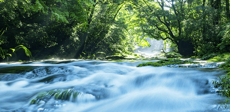 流水